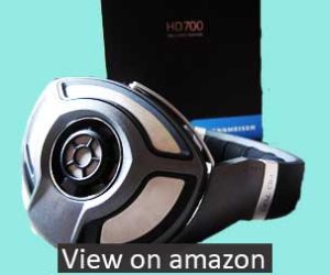 Sennheiser HD 700 Headphone