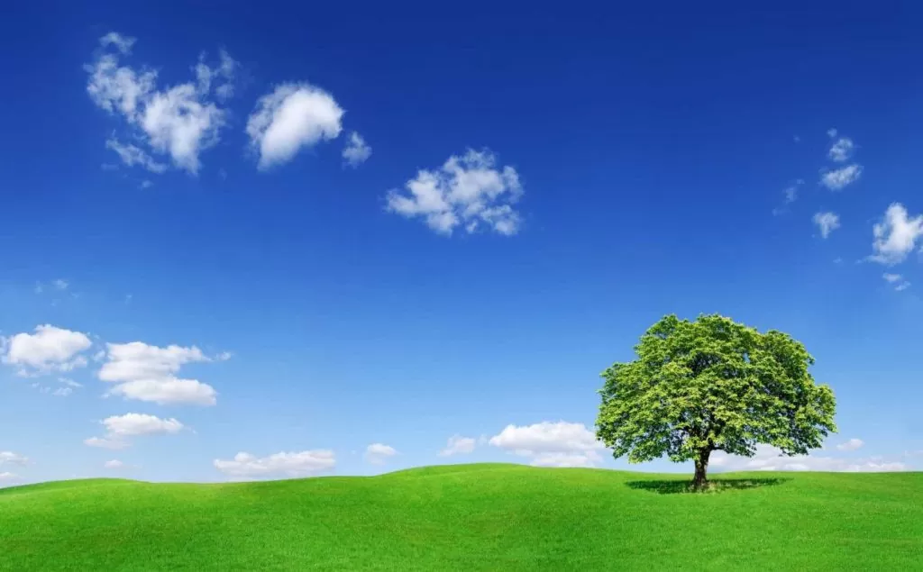 Natural fresh air