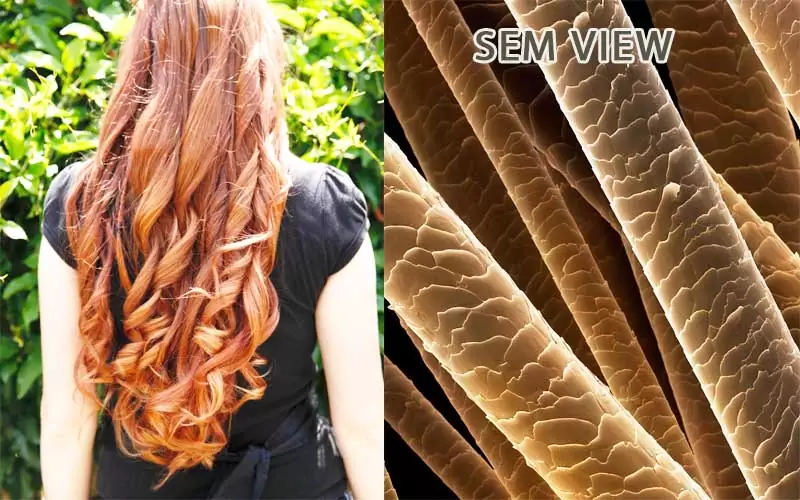 sem view of curly hair