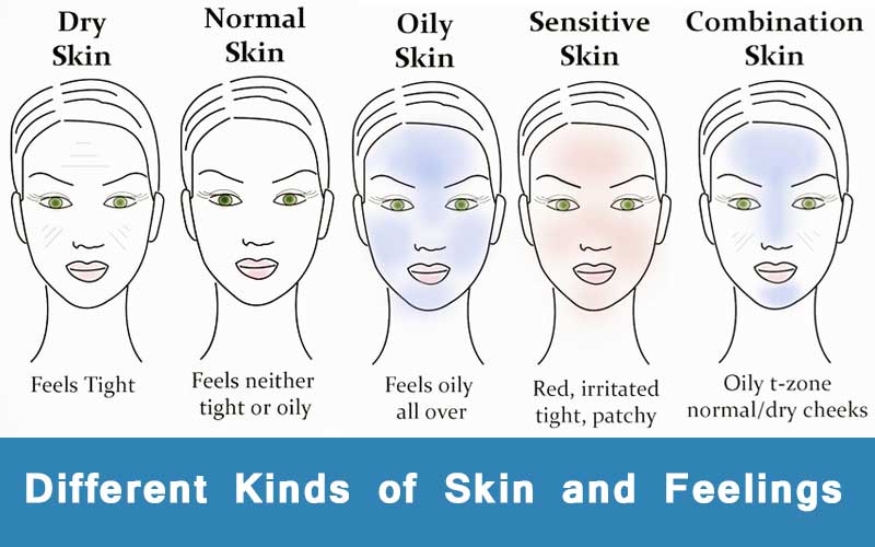 different kinds of skin