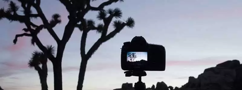 Best Camera For Night Sky Review