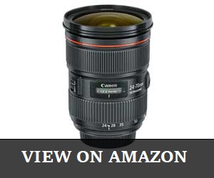 Canon EF-24mm lens