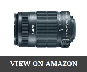 Canon EF-S-55 lens