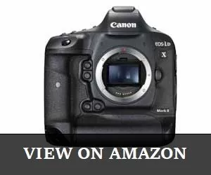 Canon EOS-1DX Mark II Review