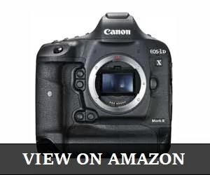 Canon-EOS-1DX-Mark
