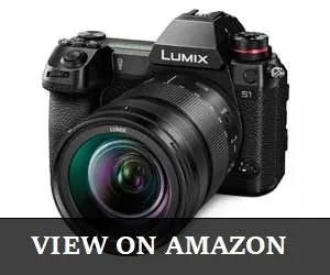 Panasonic LUMIX S1 Review