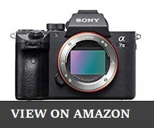 Sony a7 III Review