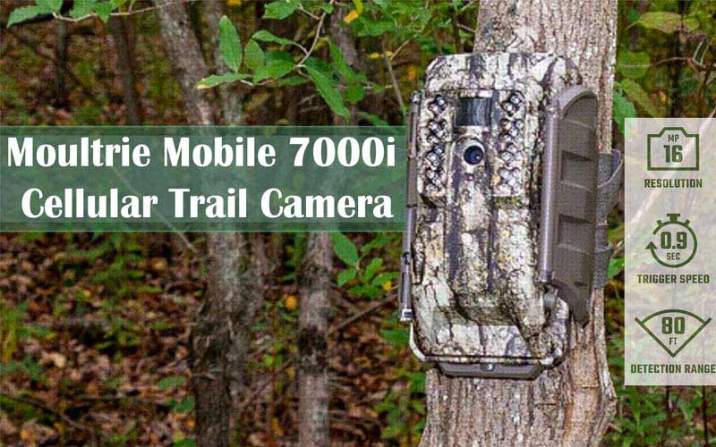 Moultrie Mobile XA7000i Cellular Trail Camera
