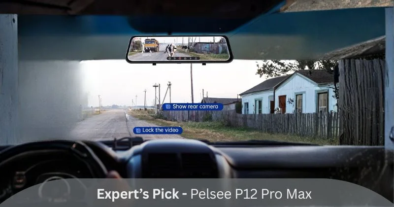 Pelsee P12 Pro Max