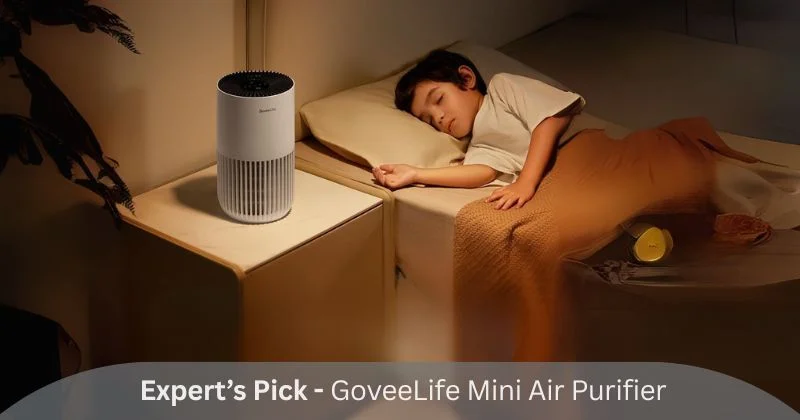 GoveeLife Mini Air Purifier
