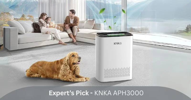 KNKA APH3000