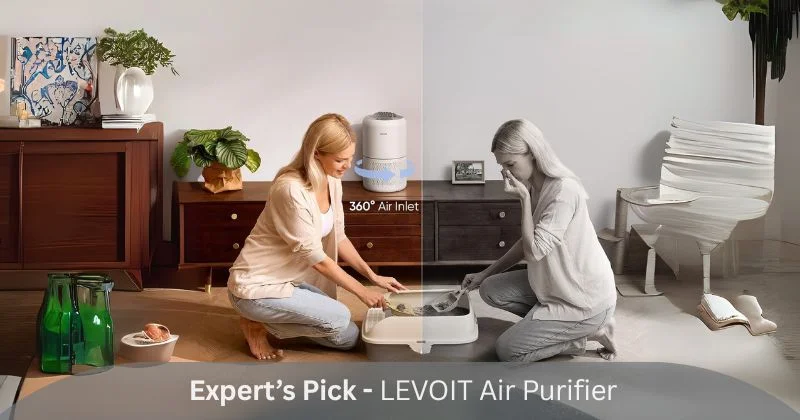 LEVOIT Air Purifier