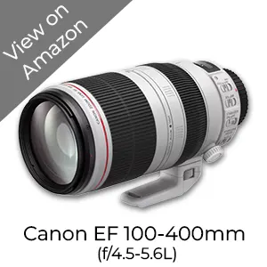 canon ef 100-400mm
