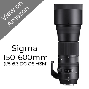 sigma 150-600mm