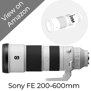 sony fe 200-600mm